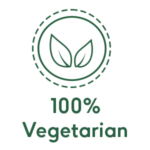 l carnitine carnitine tablets l carnitine 1000mg carnitine supplement carnitine fat burner