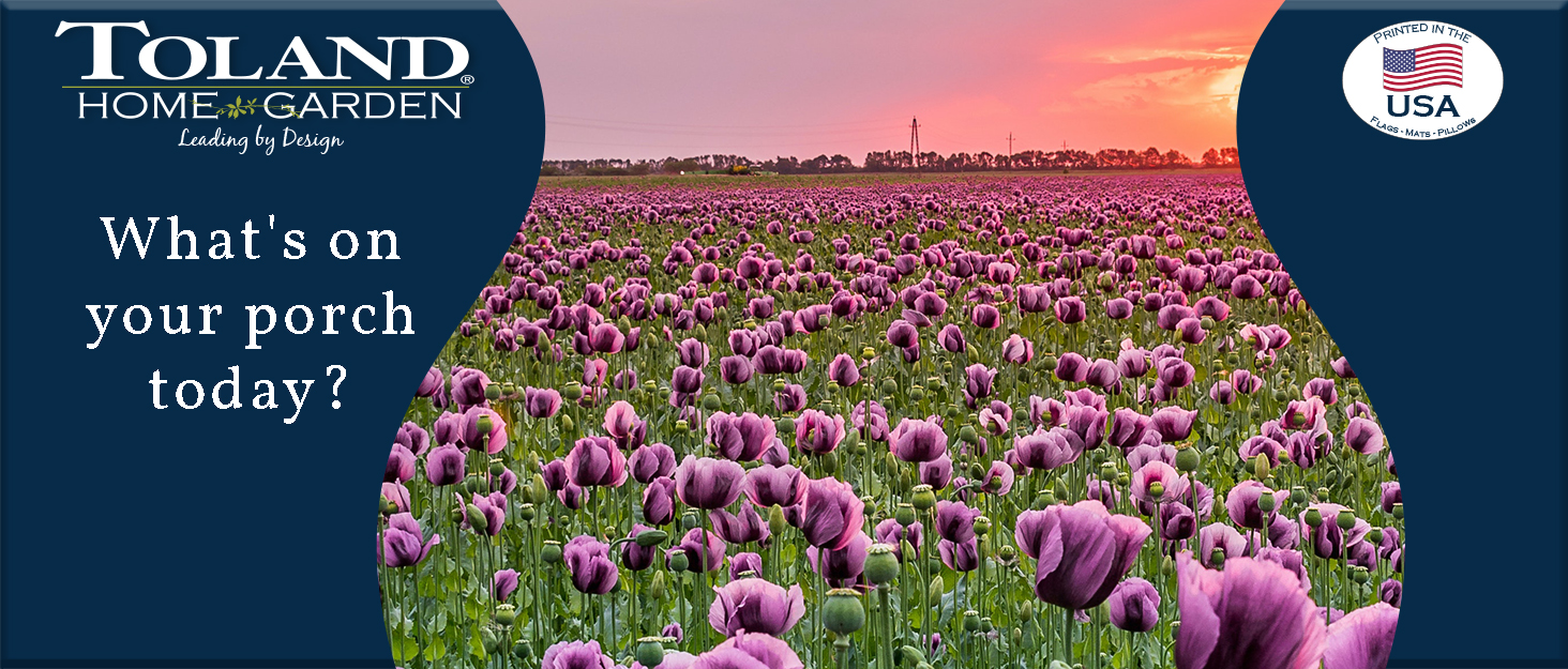 Toland Home Garden. What's on Your Porch Today? Printed in the USA pretty picture field of flowers