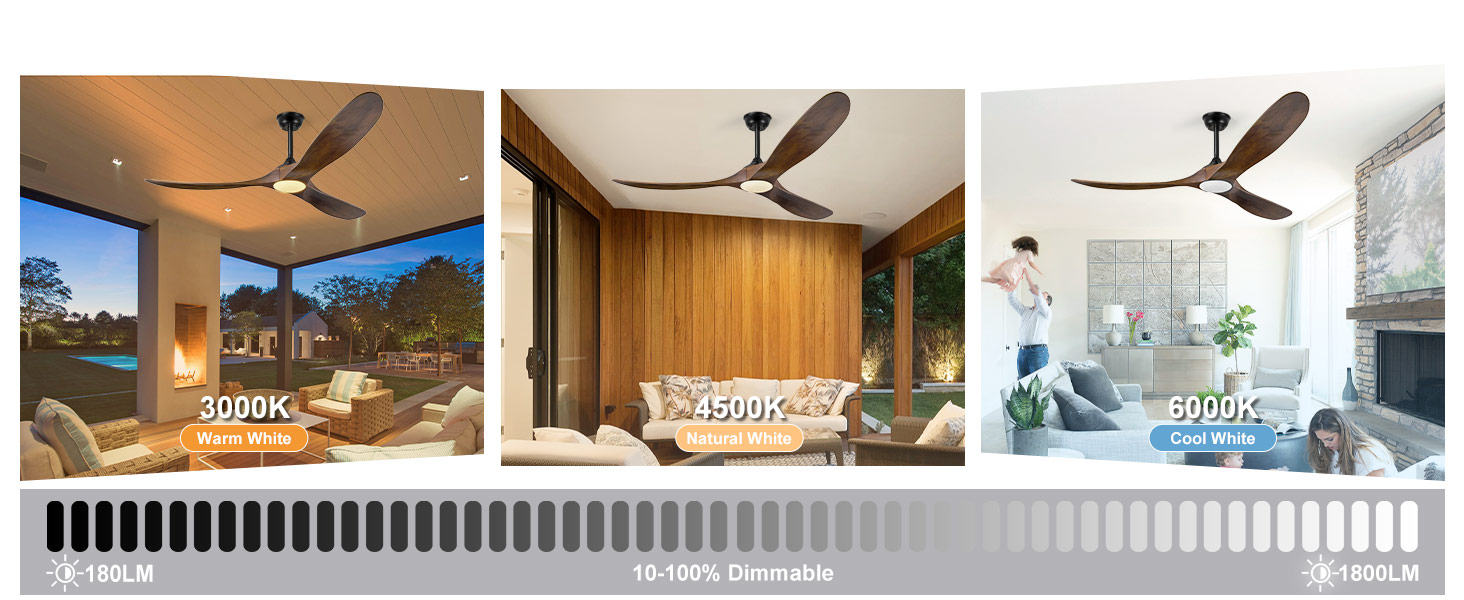 ceiling fan with light