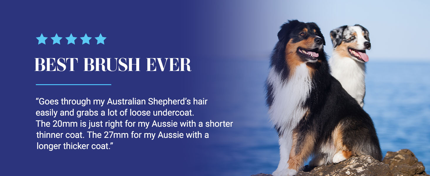 Chris Christensen Original Oval Pin Brush Review from Australian Shepherd owner