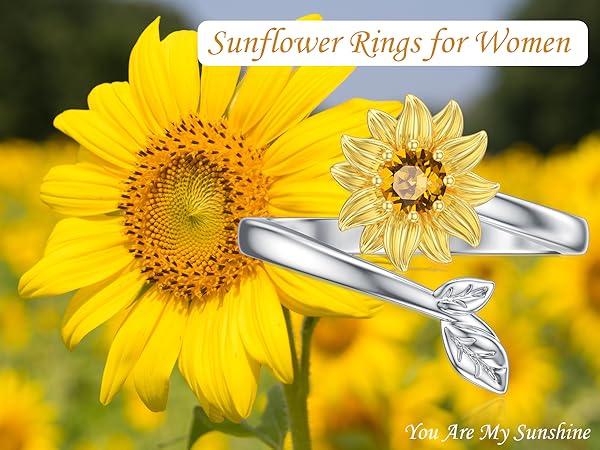 astrostuffs bright サイン 2025 light blue and white ALL-STAR sports champion ring size