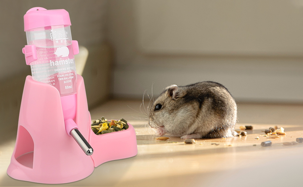 Ein rosa Hamster, der Essen aus einem Lebensmittelspender isst