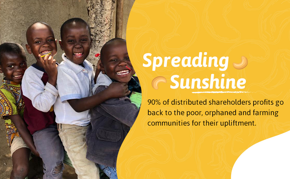 cashews light salt cashew nuts salted salted roasted cashews organic salted cashews 