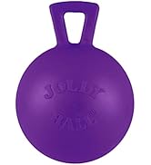 Jolly Pets Tug-n-Toss Heavy Duty Dog Toy Ball with Handle, 4 Inches/Petite, Purple (404 PR)