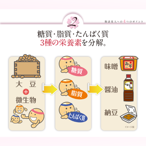 Amazon.co.jp: レビジューさくら450粒 柳田酵母 ナオミ さくら