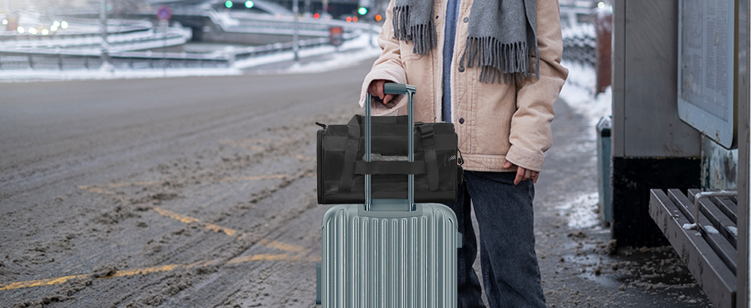 pet carrier foe travel