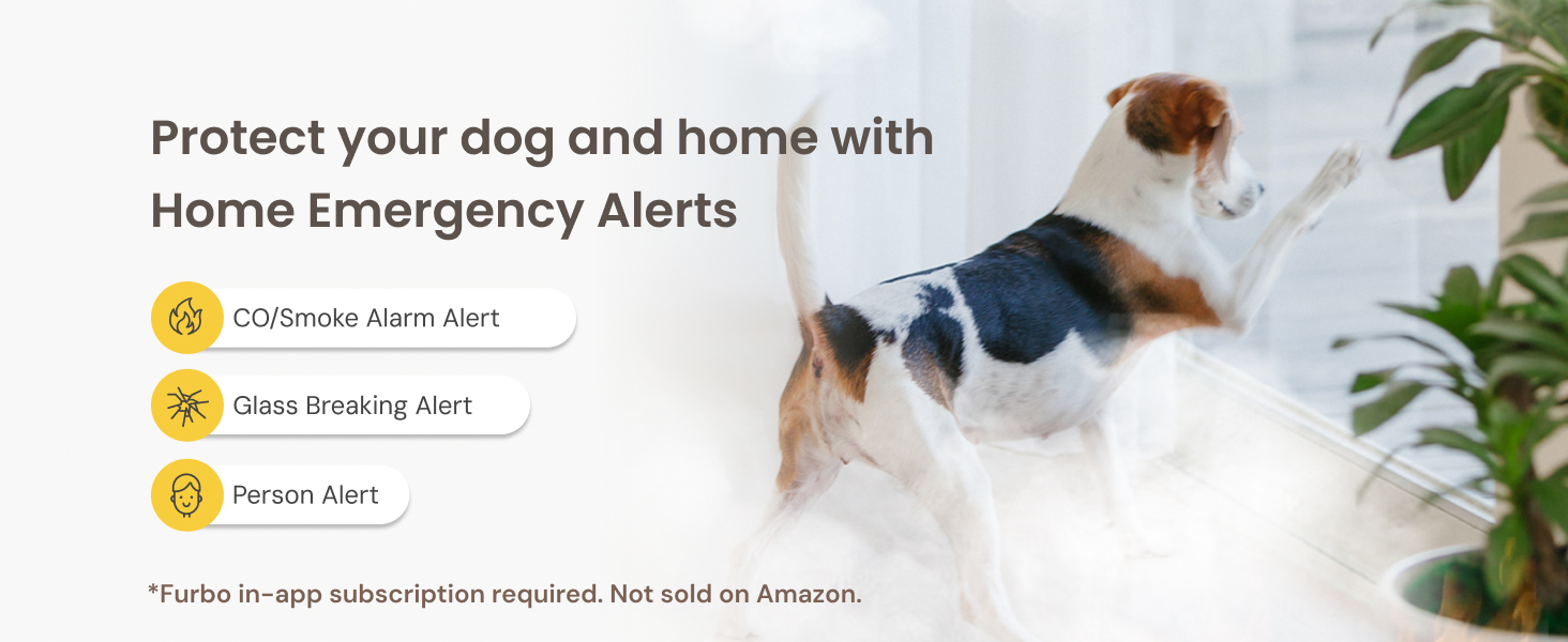 UK_Dog Faas_Premium Navigation Carousel_2