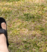 Upgraded Orthotic Flip Flops with High Arch Support- Women's and Men's Thong Sandals- Walking Com...