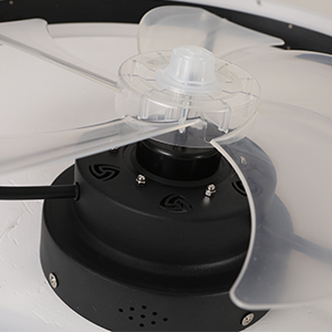 Modern Ceiling Fans with Lights