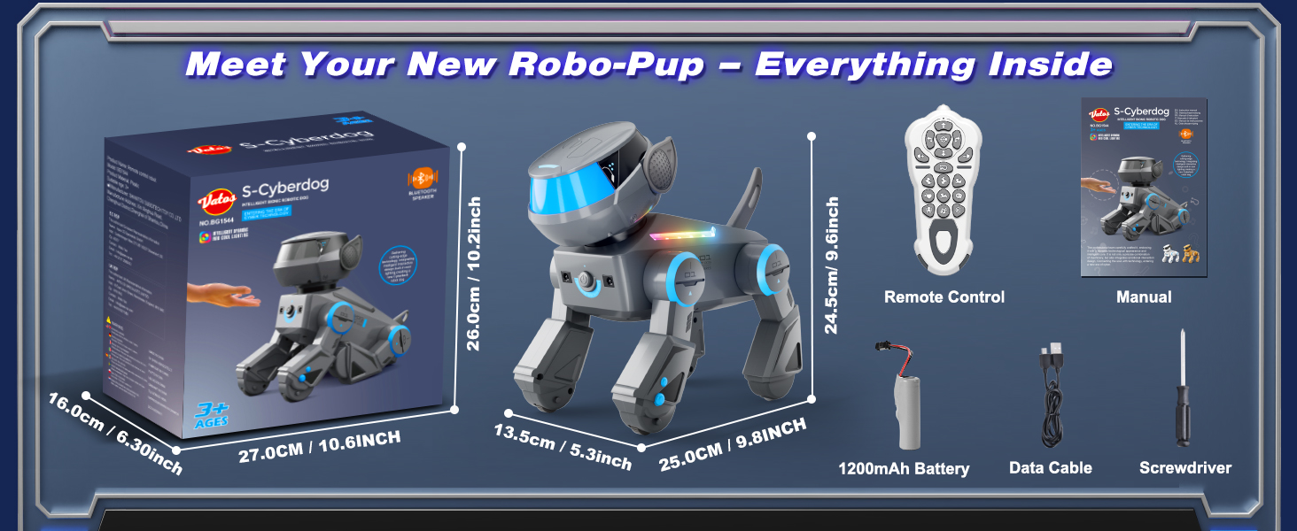 kid robot dog