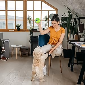 dog toys for boredom