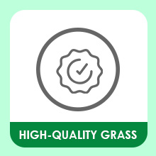 Small manufacture image 6