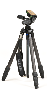 c13e9ad7-69f6-458e-9752-