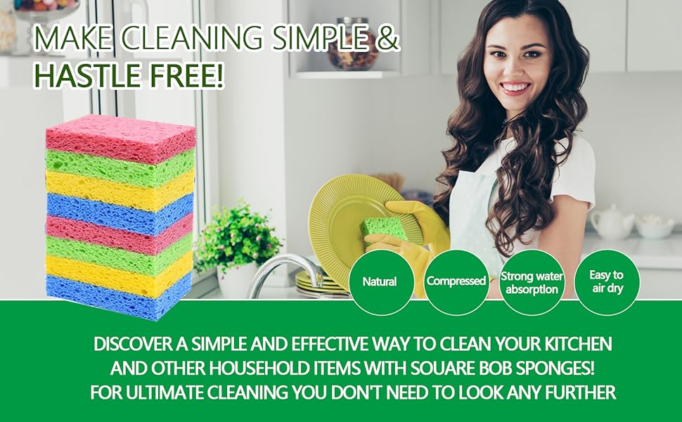 Kitchen Sponge