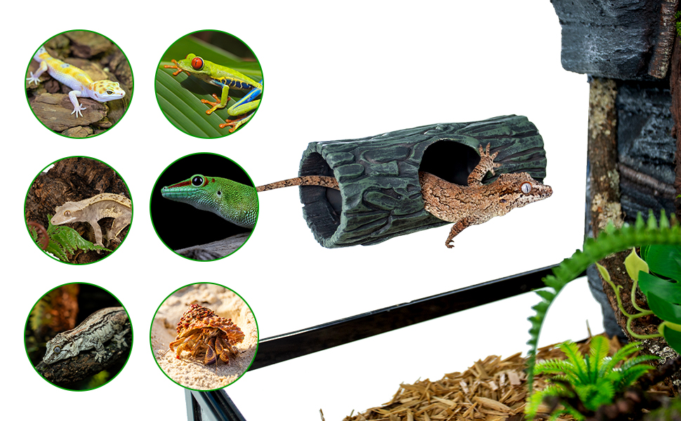 reptile hideout