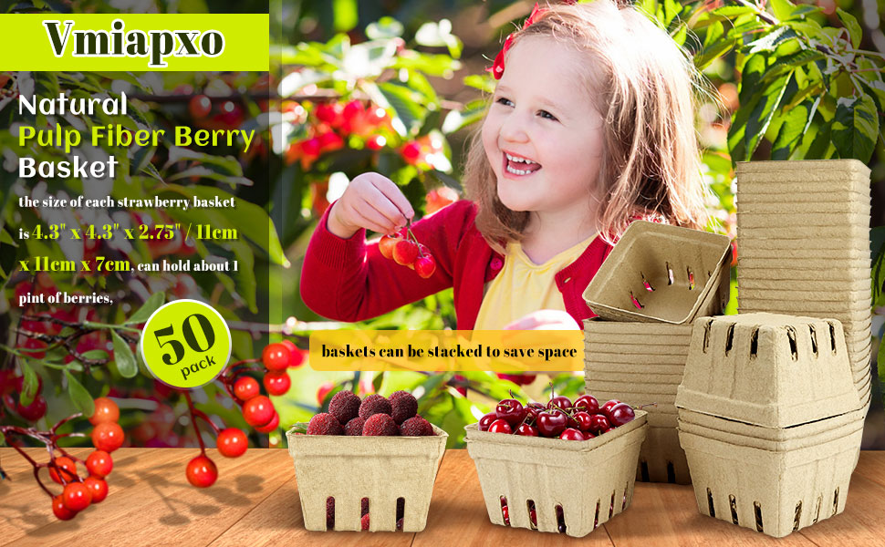 berry basket