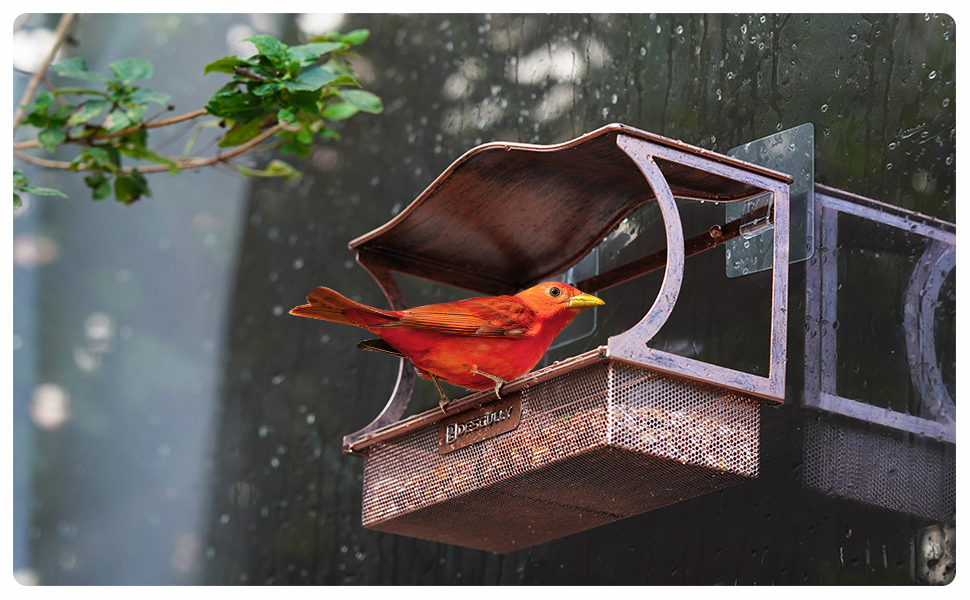 Window Bird Feeder, Desgully Durable Metal Window Bird Feeder, Window