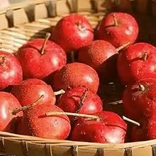 hawthorn,hawthorn berry tea,Hawthorn Fruit Tea