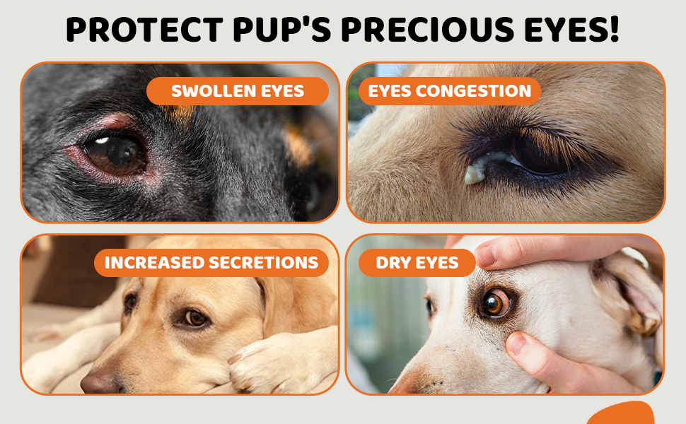 Dog Eye Drops Dog Eye Wash, Tears, Inflammation, Eye Care 20ml, 20ml