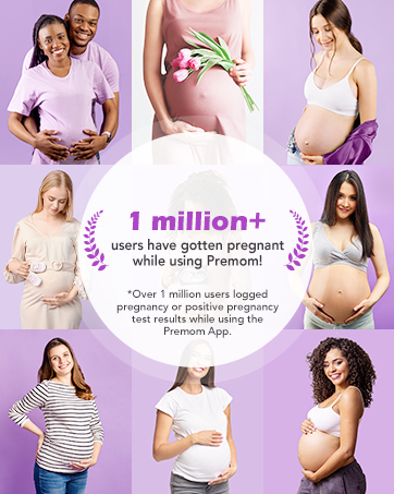 preseed fertility lube pre seed