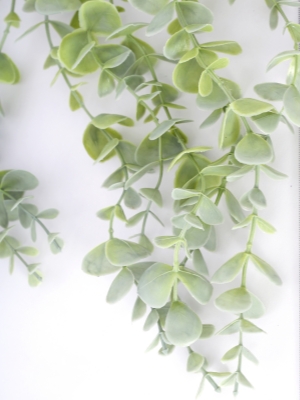 artificial plants indoor