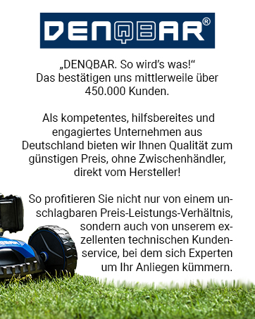 DENQBAR BenzinRasenmäher DQR51EV, 9in1, EStart, Gangwahl, 51 cm
