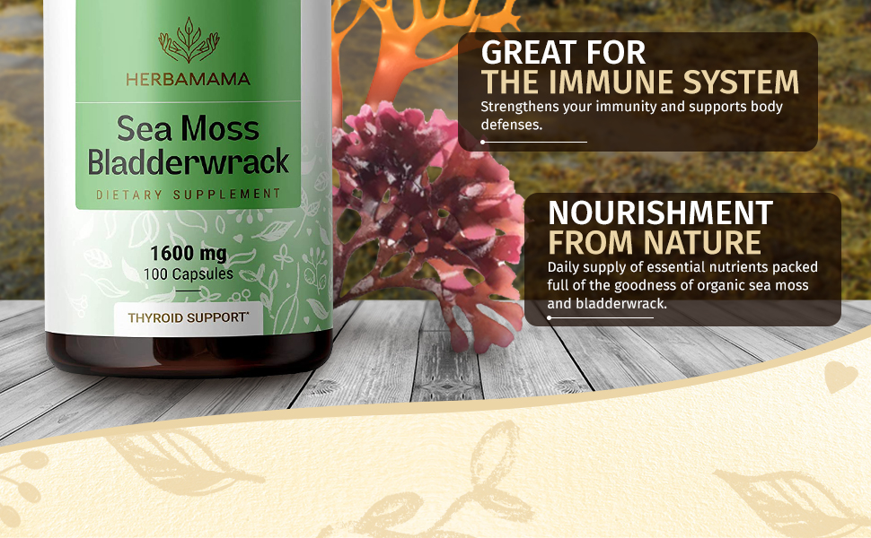 Herbamama Sea Moss & Bladderwrack 100 Capsules