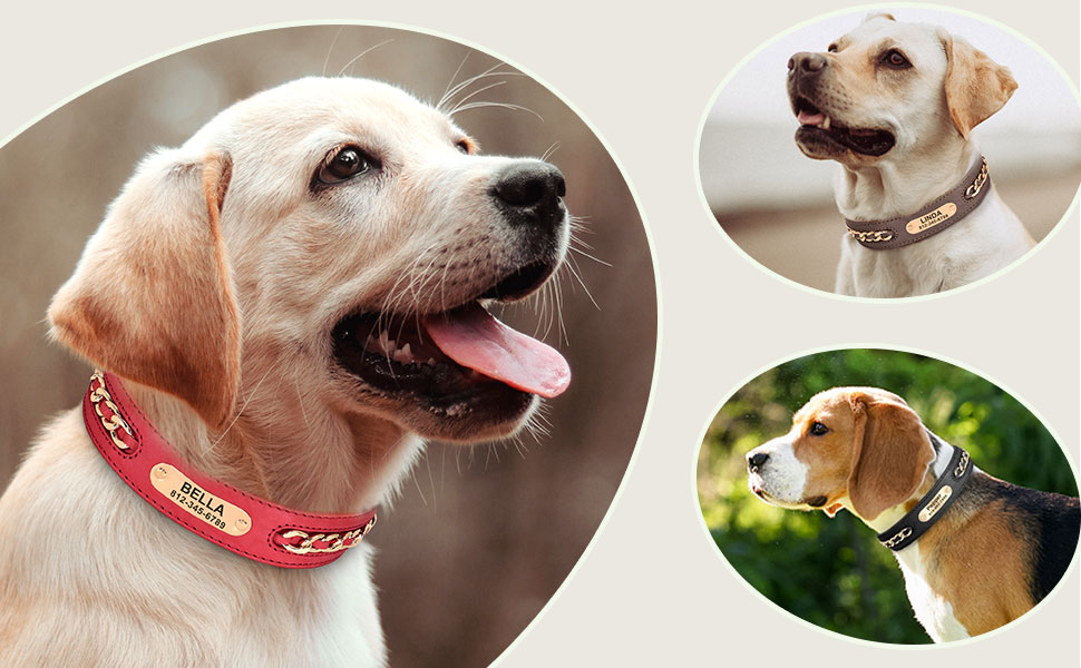 Forestpaw Leather Dog Collars with Engraved Nameplate