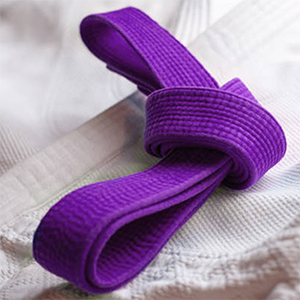 Karate Belt Purple