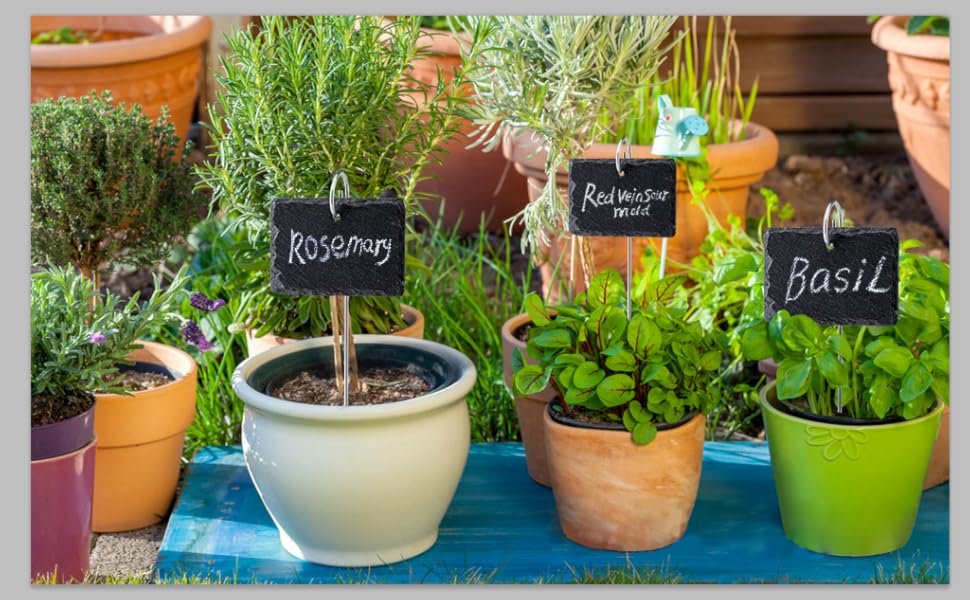 WLWNWFT Pflanzenschilder zum Beschriften 10er Set, Schiefer ...