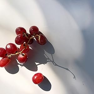 adk fruit