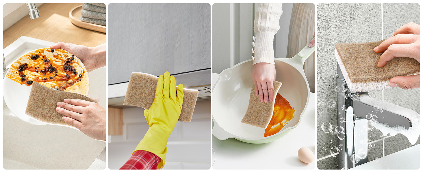 Kitchen Sponge