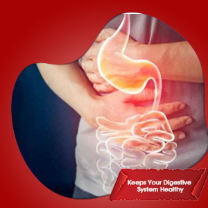 Healthy Digestion System