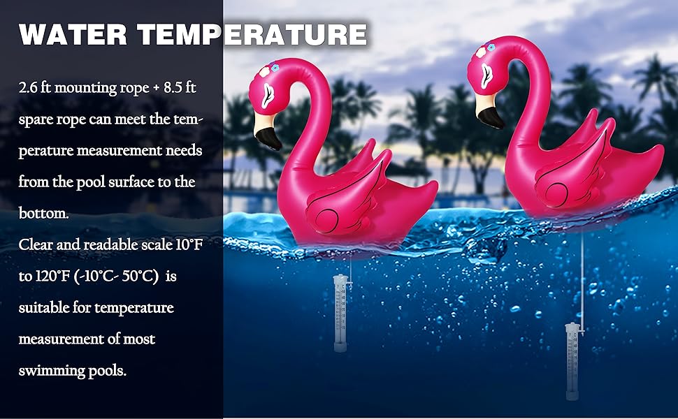 Floating Pool Thermometer with 19" Solar Pool Lights Pond
