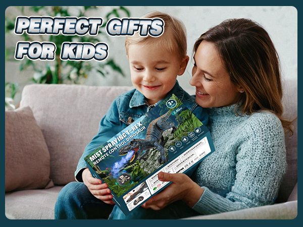 Toys Gift for Kids 3 4 5 6 7 8 9 10 11 12+ Years Olds Boys