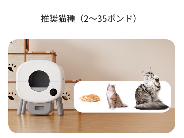 Amazon | WARDIX 猫 トイレ 自動 高性能 スマホ管理 大型猫にも