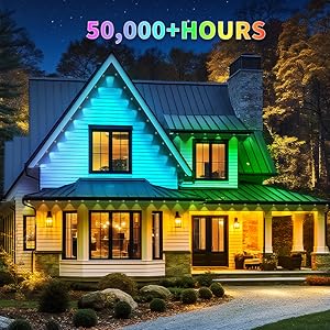 permanent christmas lights outdoor