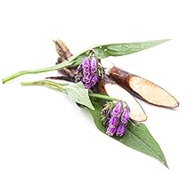 allantoin comfrey extract ingredient