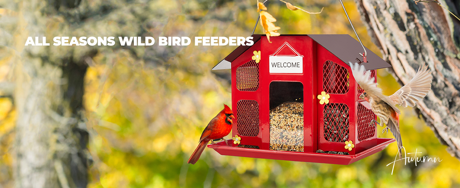 bird feeder