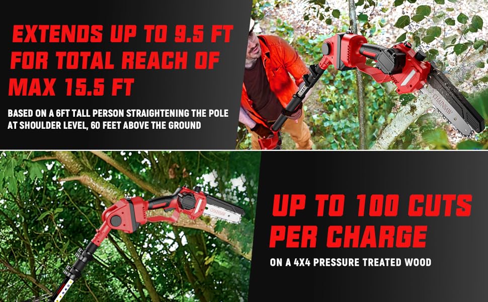 pole saw for tree trimming