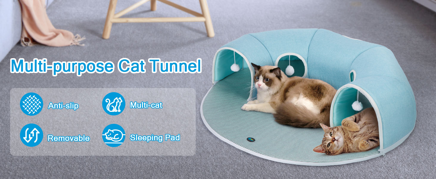 cat tunnel