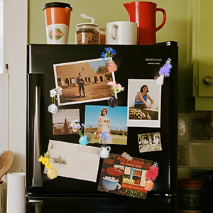 Mini Vase Magnets for Fridge