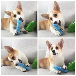 dog toy tpr blue