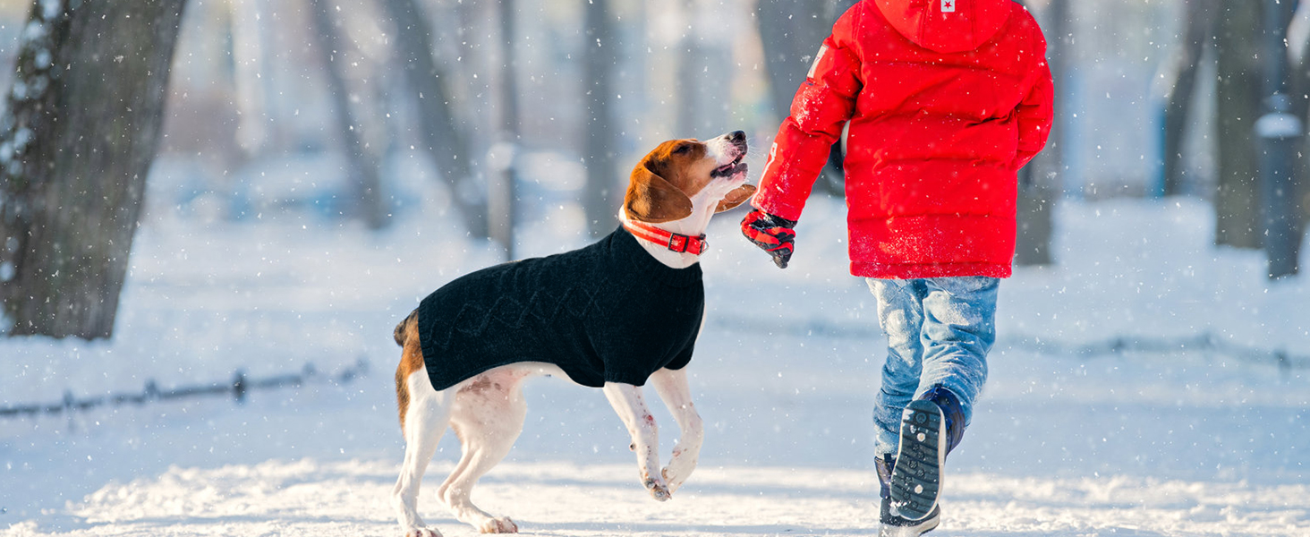 BINGPET Dog Sweater,Warm Turtleneck Dog Sweaters for Large