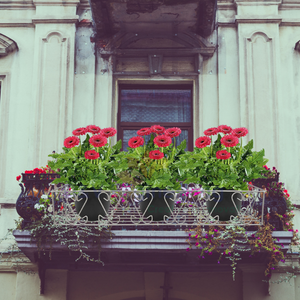 Small manufacture image 3