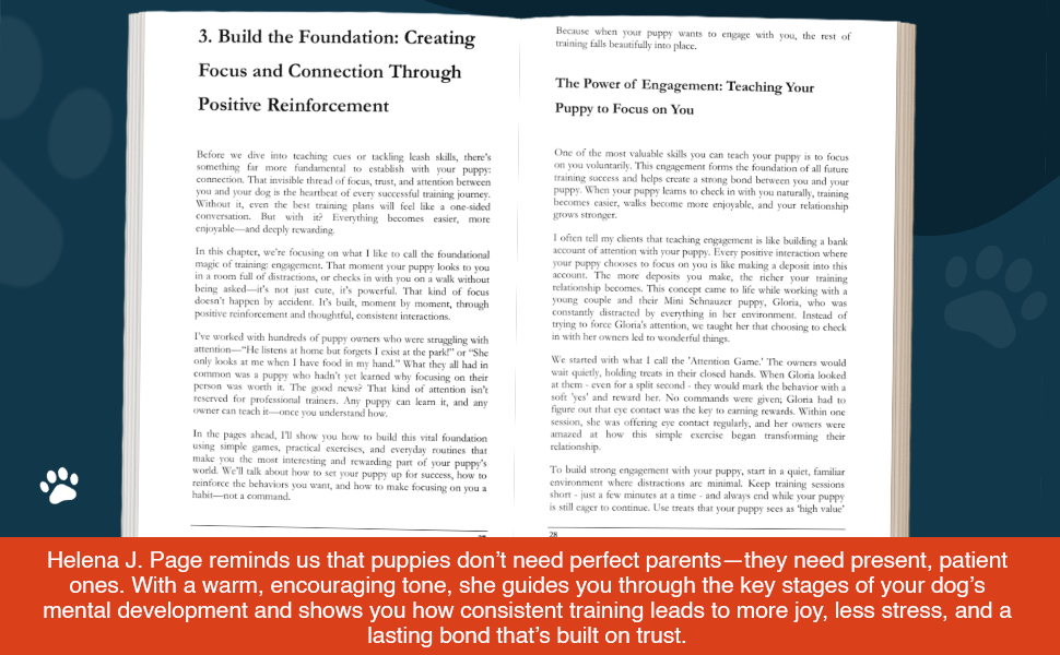 Top Ten Tips for Training your Puppy The Simple Guide Interior