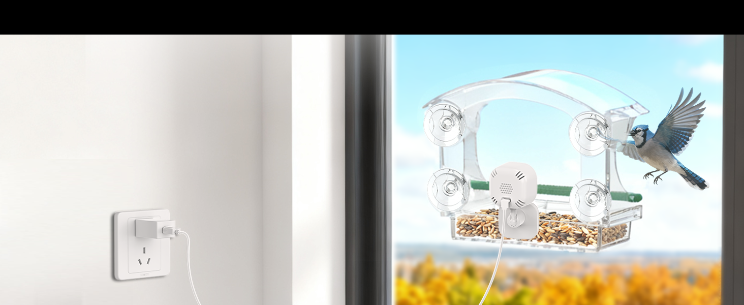 smart bird feeder with camera、bird feeder camera、camera bird feeder、window bird feeders