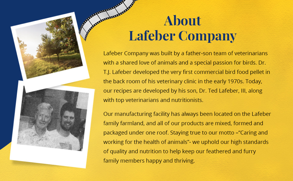 Parrot Popcorn Nutri-Berries