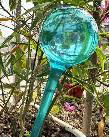 Automatic Plant Waterer System Set