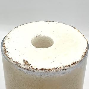 Amazon | タランドゥスオオツヤ 1メス54個採卵！【DDA】カワラ菌床材L